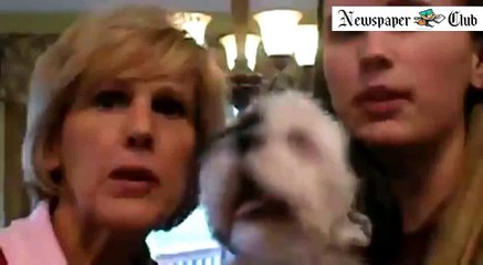 Dog Spices Up Happy Birthday Song With A Few Sick Harmonies