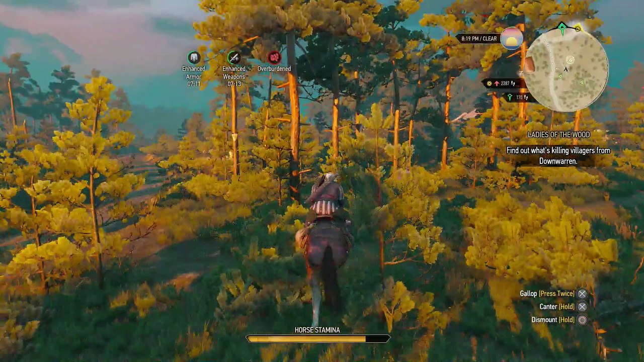 WITCHER 3 DEATH MARCH! WALKTHROUGH 51 - FAMILY MATTERS & CONTRACT SWAMP THING