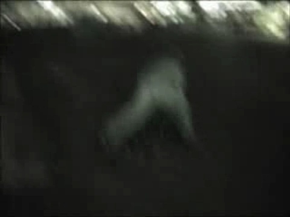 intro + banket party