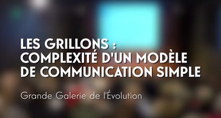 Les grillons : complexité d’un système de communication simple (cycle La Nature nous parle 3/5)