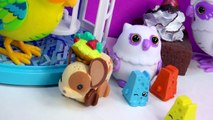 Shopkins Season 3 Taco Terrie Chee Zee Ride Little Live Pets Lil Mouse Toy Unboxing Revie