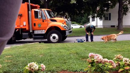 Une caméra a surpris cet éboueur en train de faire quelque chose de génial avec ce chien.