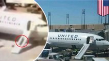 United Airlines flight attendant intentionally deploys emergency chute, bolts from plane