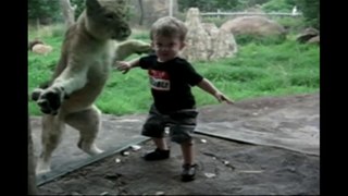 Kids At The Zoo׃ Compilation 2016