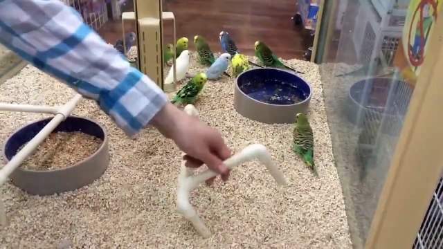 Тот случай, когда спорить бесполезно!