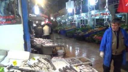 Antalya-Alanya'da Yabancıların Gözdesi Köpekbalığı Eti