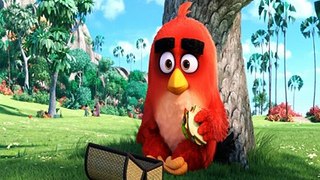 Regarder The Angry Birds Movie Complet Film Gratuit VF