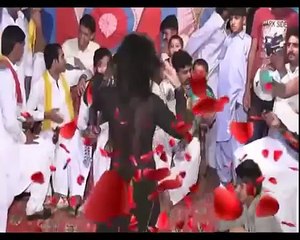 Hot Pakistani Mujra in Private Party