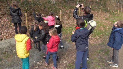 TAP sur les oiseaux à Ploufragan