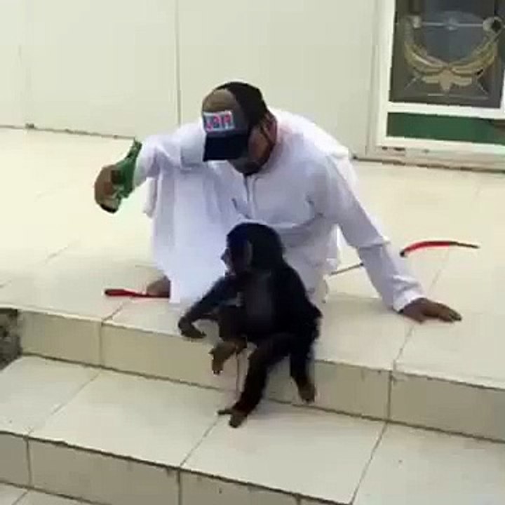 حيوانات .