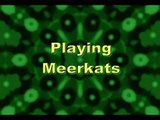 Playing Meerkats