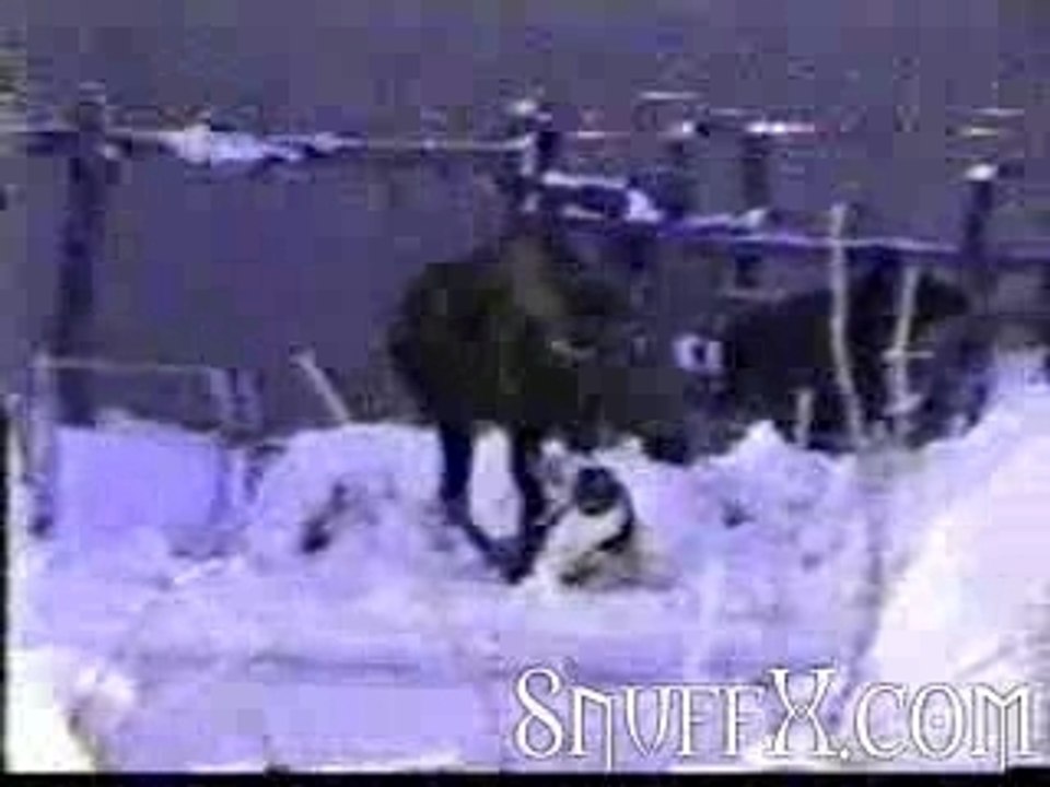 Hé, touche pas à ma femme !!!