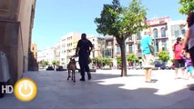 Policías locales participan en un curso de adiestramiento canino contra el narcotráfico