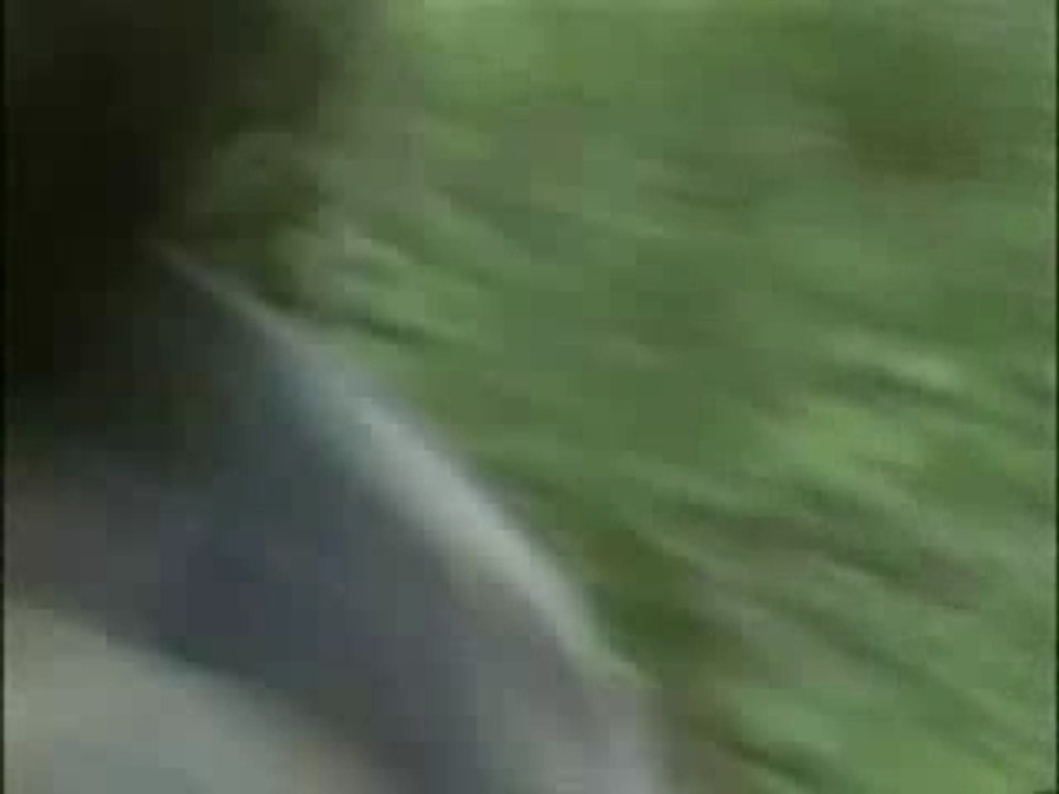 Ricogas trial txt pro 280 gasgas