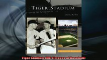 FREE DOWNLOAD  Tiger Stadium MI Images of Baseball  DOWNLOAD ONLINE