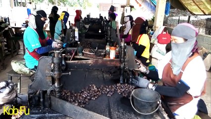 The enterprise community groups to promote the career วิสาหกิจชุมชนกลุ่มส่งเสริมอาชีพ บ้านหาดไก่ต้อย ท่าปลา จ.อุตรดิตถ์