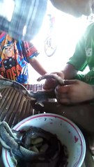 Et si on mangeait des serpents pour le dîner