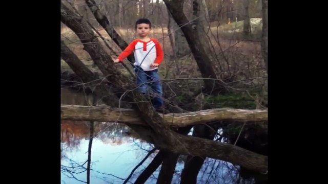 C'est dommage il y était presque - Belle chute d'un gamin du haut d'un arbre