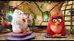 Angry Birds - Clip - Nice Chatting With You