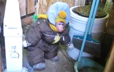 Kar Tulumu Giyen Maymun Ahırı Ziyaret Etti