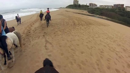 Beach ride at Gary's Horses