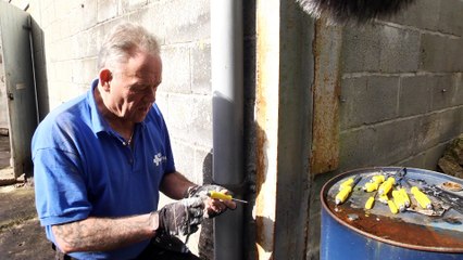 BlueSpot Driver Set with Hex Bolts B/S12058