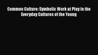 [PDF] Common Culture: Symbolic Work at Play in the Everyday Cultures of the Young [Download]