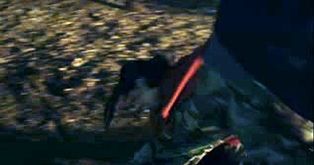 에이플러스카지노は━━━AOA200。COM━━━よ정선카지노잭팟