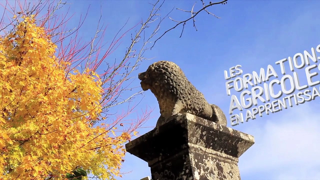 Les CFA agricoles publics de Bretagne présentent les formations agricoles en apprentissage