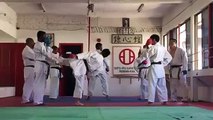 Karate - Mawashi Geri target practise