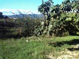 Cycling road in Cerreto Guidi Under 23