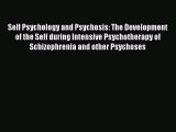 Download Self Psychology and Psychosis: The Development of the Self during Intensive Psychotherapy