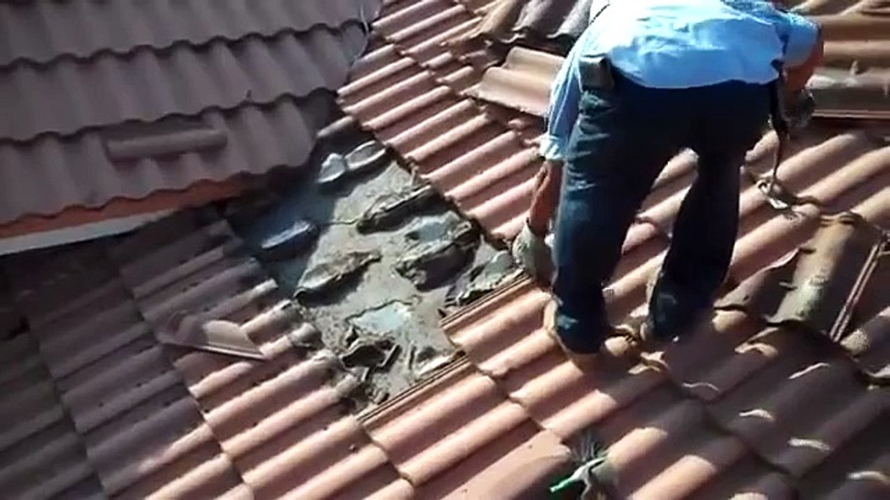 Découverte flippante sous les tuiles de son toit...