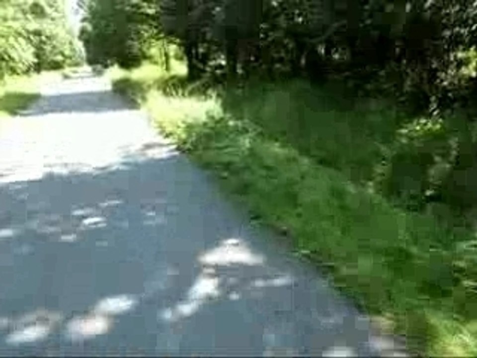 Terrierdutibet
