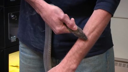 Cet homme est complètement fou !