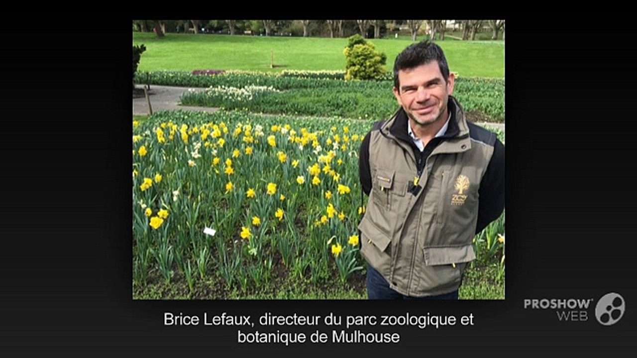 Le marché aux plantes au parc zoologique de Mulhouse