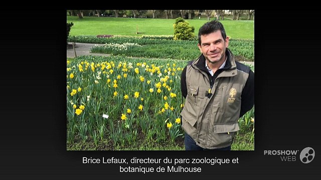 Le marché aux plantes au parc zoologique de Mulhouse
