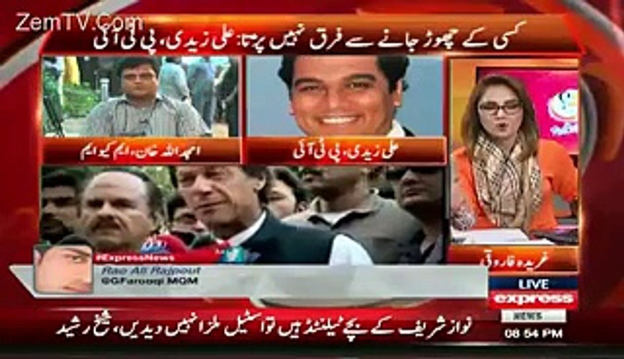 میں نے کہا تھا مجھے اس گھٹیا انسان کے ساتھ نہیں لینا - علی زیدی تحریک انصاف کے ایم کیو ایم   میں شامل ہونے والے امیدوار کی وجہ  سے غریدہ فاروقی پر ناراض