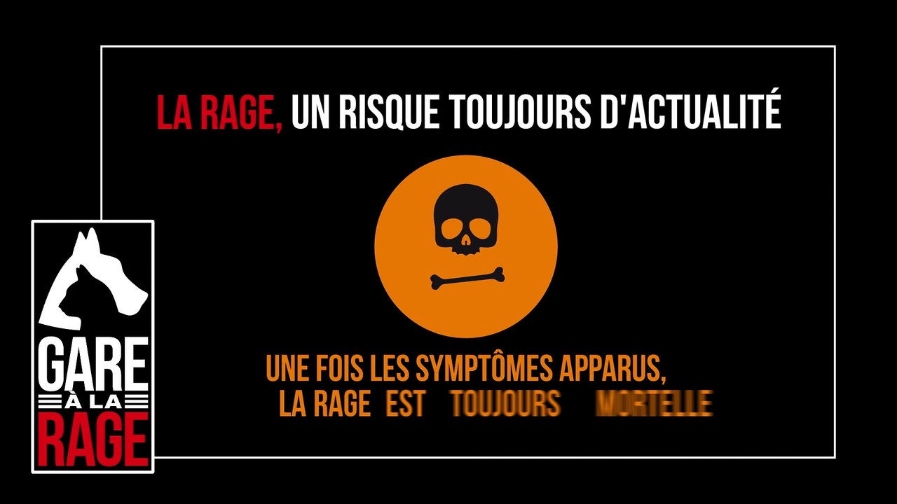 « Gare à la rage » : voyageurs, ne ramenez pas la rage dans vos bagages