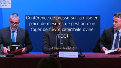 Conférence de presse sur la gestion d’un foyer de fièvre catarrhale ovine