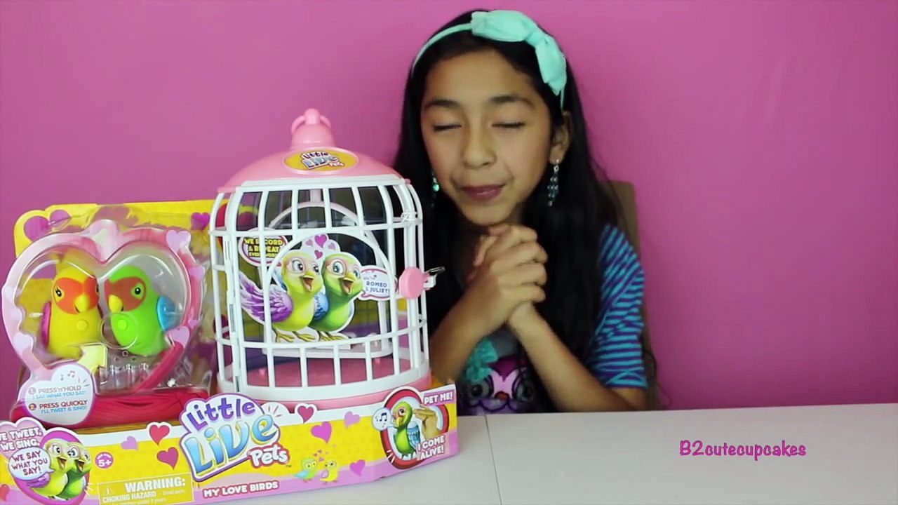 NEW Little Live Pets Cleverkeet Amazing Singing & Talking Bird Review B2cutecupcakes