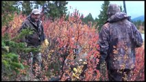 Yukon Moose hunt 2012
