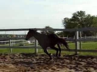 La petite folie d'Azimut