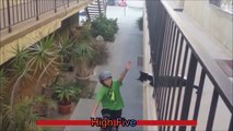 【おもしろ】自転車の少年とかわいい猫がハイタッチ！