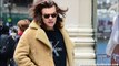 Harry Styless Secret Air Hostess Girlfriend Claims He Cheated on Her with Kendall Jenner