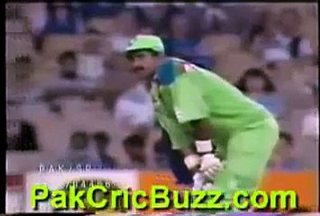 Cricketer Javed Miandad and Kiran More in Cricket World Cup 1992 - Video Dailymotion