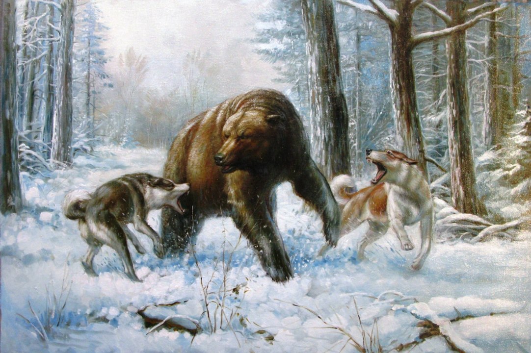 НА МЕДВЕДЯ ЗИМОЙ