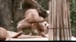 Lion Attack Tiger | National Geographic Wild 2015 | Animals Attack Willdife Documentary