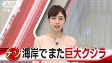 今度は長崎で・・・　海岸に巨大クジラが打ち上がる(16-04-08)