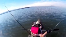 Kayak Fishing The San Francisco Bay,  not the whale I expected to catch. :)